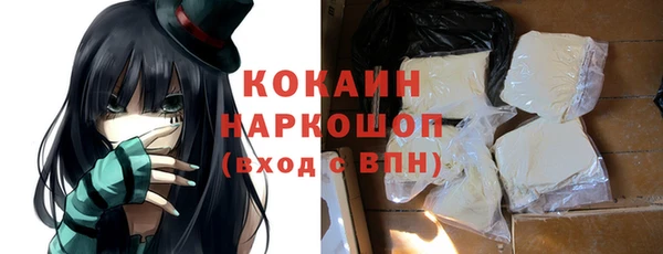 индика Костерёво