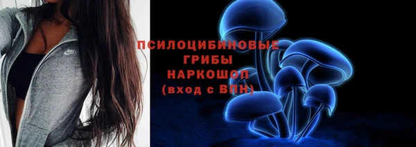 МДПВ Куйбышев