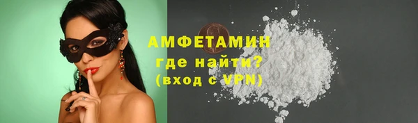 индика Костерёво