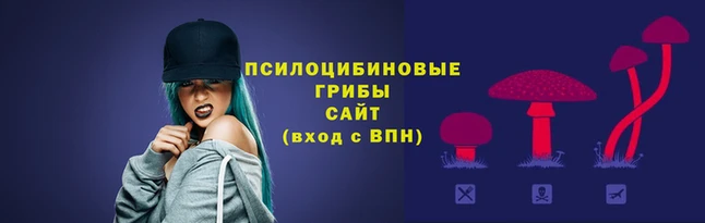 mdpv Краснотурьинск