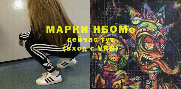 mdpv Краснослободск