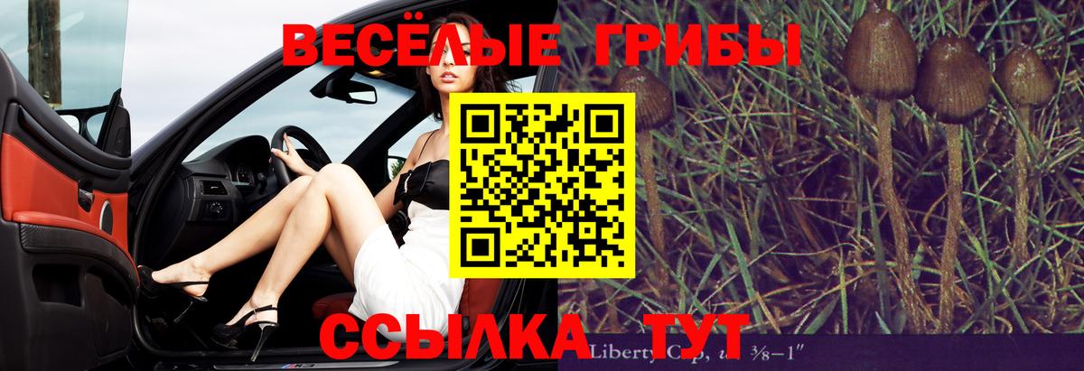 Галлюциногенные грибы Psilocybine cubensis Курганинск