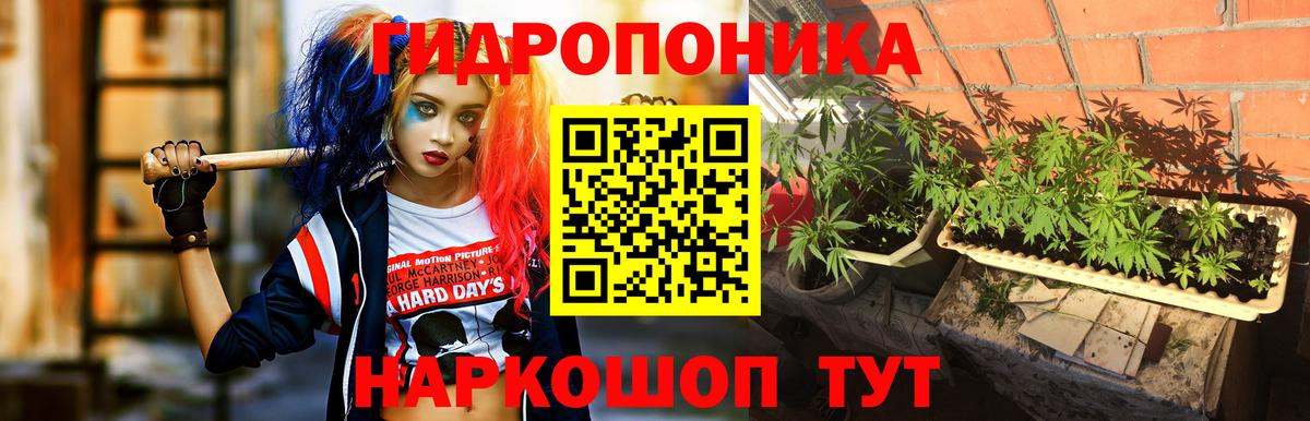 Бошки Шишки семена  Курганинск  МАРИХУАНА гибрид 